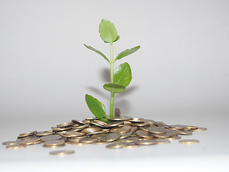 【便携版】小巧的在线短信接收